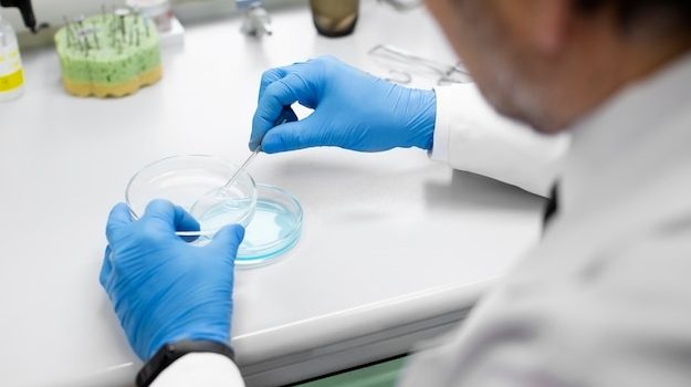 Проведение исследований биоэквивалентности и ранних фаз клинических исследований